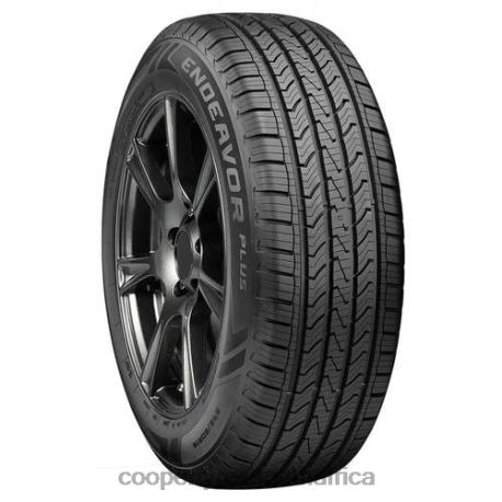 Endeavor Plus 255/50R20XL 109H BSW 4DJVV377 Cooper Tires