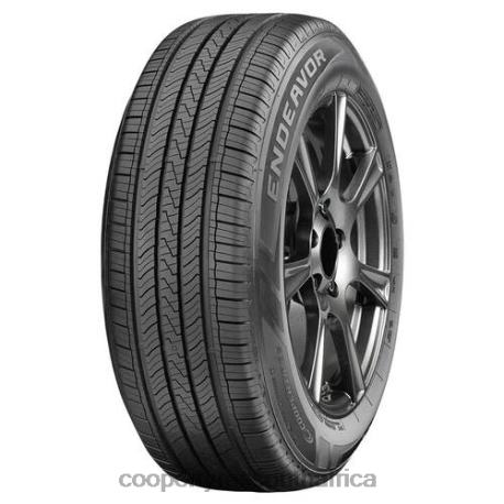 Endeavor 205/55R16 91H BSW 4DJVV38 Cooper Tires