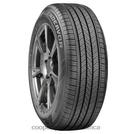 Endeavor 225/50R17XL 98V BSW 4DJVV123 Cooper Tires